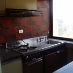 depto frente almacenes paris 003