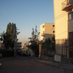 prop sitbosq pimp bodegbaqnov14 083